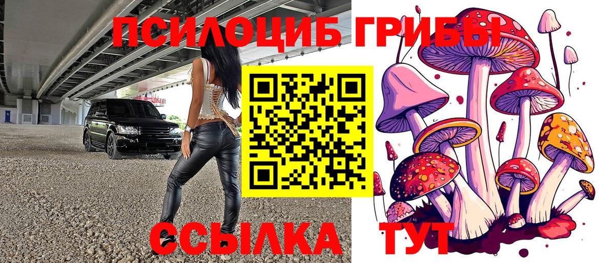 Богородицк  Галлюциногенные грибы ЛСД  Вход с VPN  Галлюциногенные грибы мухоморы 