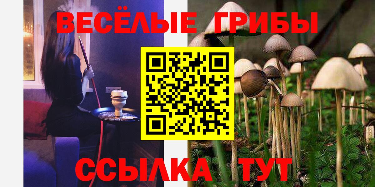 Галлюциногенные грибы Cubensis Богородицк